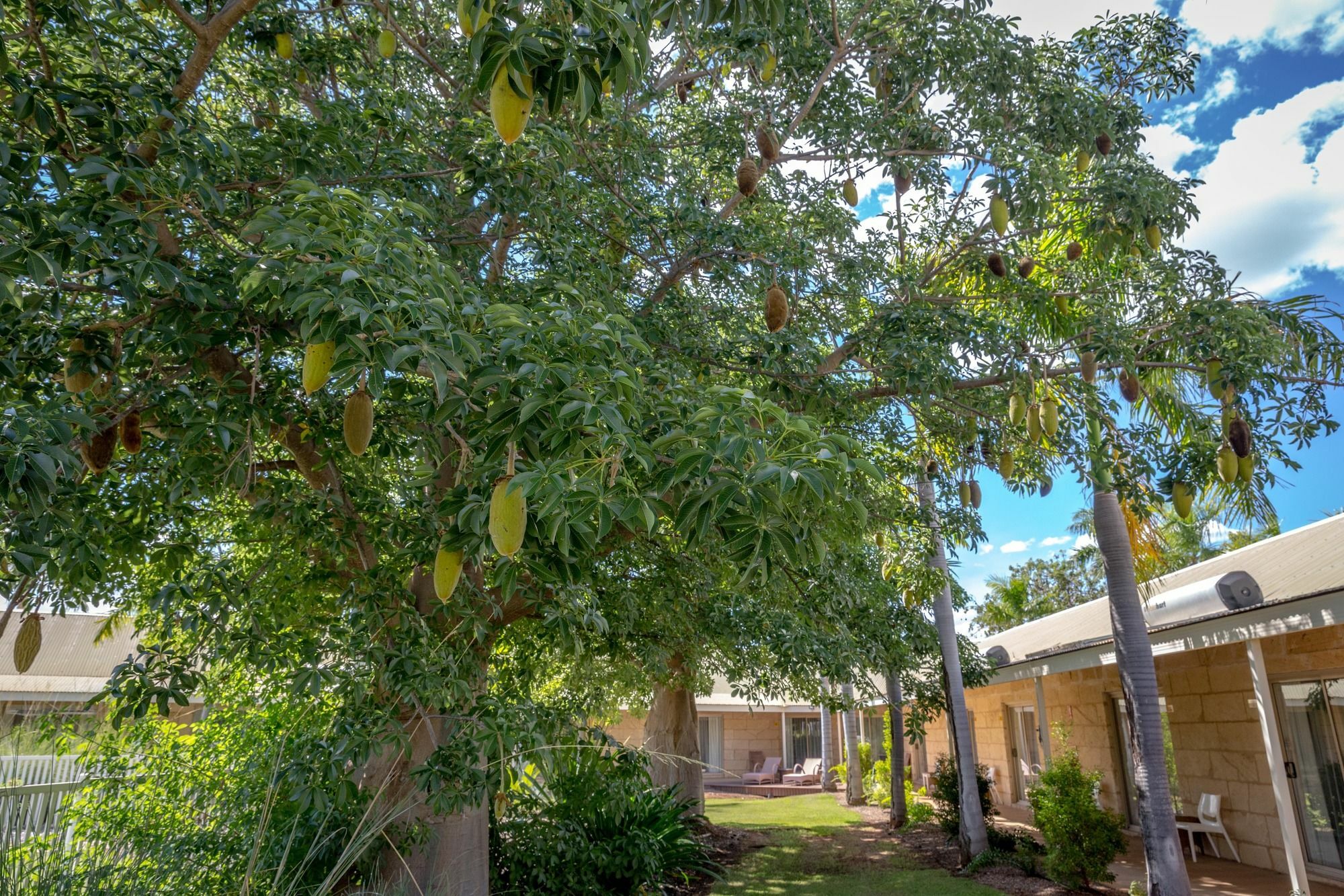 The Kimberley Grande Resort Kununurra Exterior foto